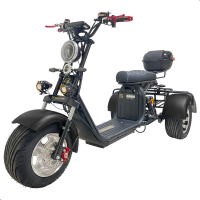 Электроскутер трехколесный CITYCOCO GT X11 PRO TRIKE 2024 Черный глянец