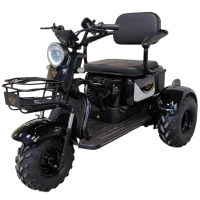 Электротрицикл IKINGI SIBTRIKE T3 Pro Max 
